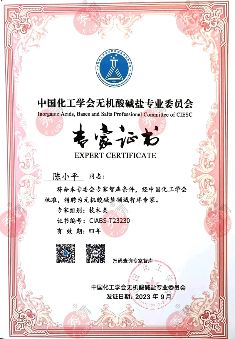 Expert Certificate of Inorganic Acid and Alkali Salt Professional Committee of Chinese Chemical Society