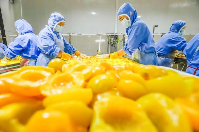 Food factory disinfection ceiling - chlorine dioxide safe and efficient fumigation solution