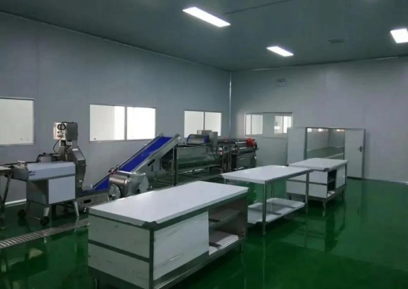 Why is mold so difficult to eradicate? Analysis of three survival strategies