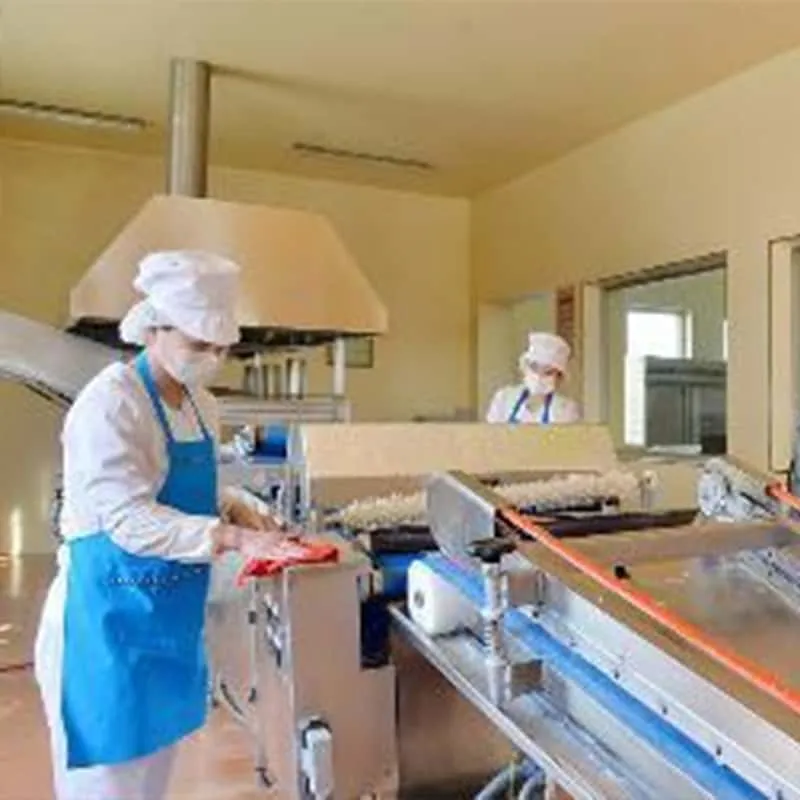 Одно из решений проблемы запаха на пищевых фабриках: диоксид хлора демонстрирует свою силу