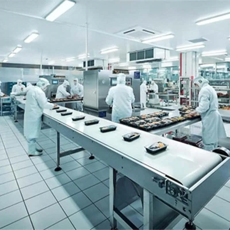 Полное руководство по предотвращению появления плесени на пищевых предприятиях! 7 советов по избавлению от плесени в цехах