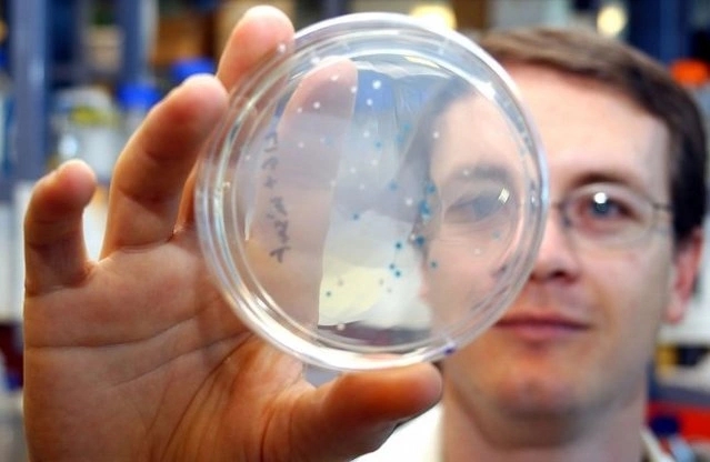 Bacterial spores: the ultimate weapon that is not afraid of even anthrax
