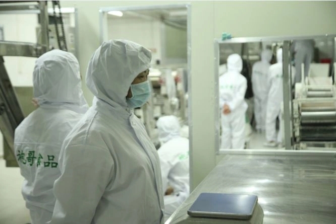 Food factory disinfection ceiling - chlorine dioxide safe and efficient fumigation solution