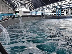 Применение диоксида хлора в водоочистке